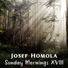 Josef Homola