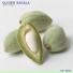 Olivier Sagala