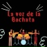 Chicho severino