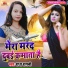 Radha Ragni feat. Krishna Nidardi