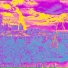 vvzm