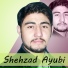 Shehzad Ayubi