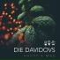 Die Davidovs
