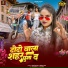Amir Raja, Neha Raj
