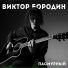 Виктор Бородин