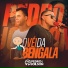 Pedro E Joilson
