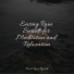 A Sudden Rainstorm, Sleep Waves, Massagem Guru