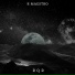 R Maestro