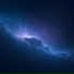 Velune, Сонная музыка для собак