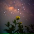 Chillhop