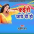 Sujit Ray