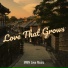 MMN Love Music
