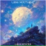 Lunar Echoes