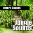 Nature Sounds