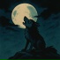 Vanya Midnight