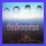 Falcons