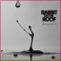 Rabbit On The Roof