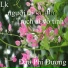 Đào Phi Dương