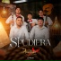 Ascendentes de Sinaloa, El Compa Lichu