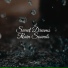Música Relaxante, Sons da Natureza, Rainy Sounds