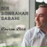 Devrim Berk