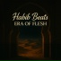 Habib Beats