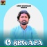 Amir Shahzad Bablo