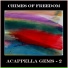 Chimes of Freedom Singers