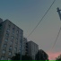 XSELO