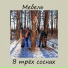 Мебель