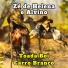 Zé de Helena feat. Alvino