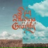 Dan Medina Gravity