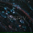 NBSPLV