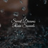 Música Relaxante, Sons da Natureza, Rainy Sounds