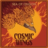Cosmic Wings