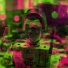MCXVAME