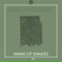 Mallprowler