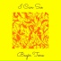 Bagir Tone