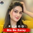 Paroo