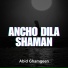 Abid Ghamgeen