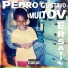 Pedro Gustavo