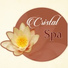 Sauna & Massage Academy