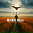 D1FLY