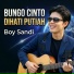 Boy Sandi