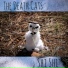 The Death Cats