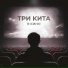 Три Кита