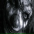CortexUS