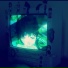 EVXRST