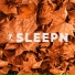 SLEEPN