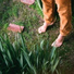Peter Gilroy